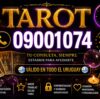 Tarot en linea