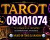 Tarot telefónico en Uruguay - consultas al 0900-1074